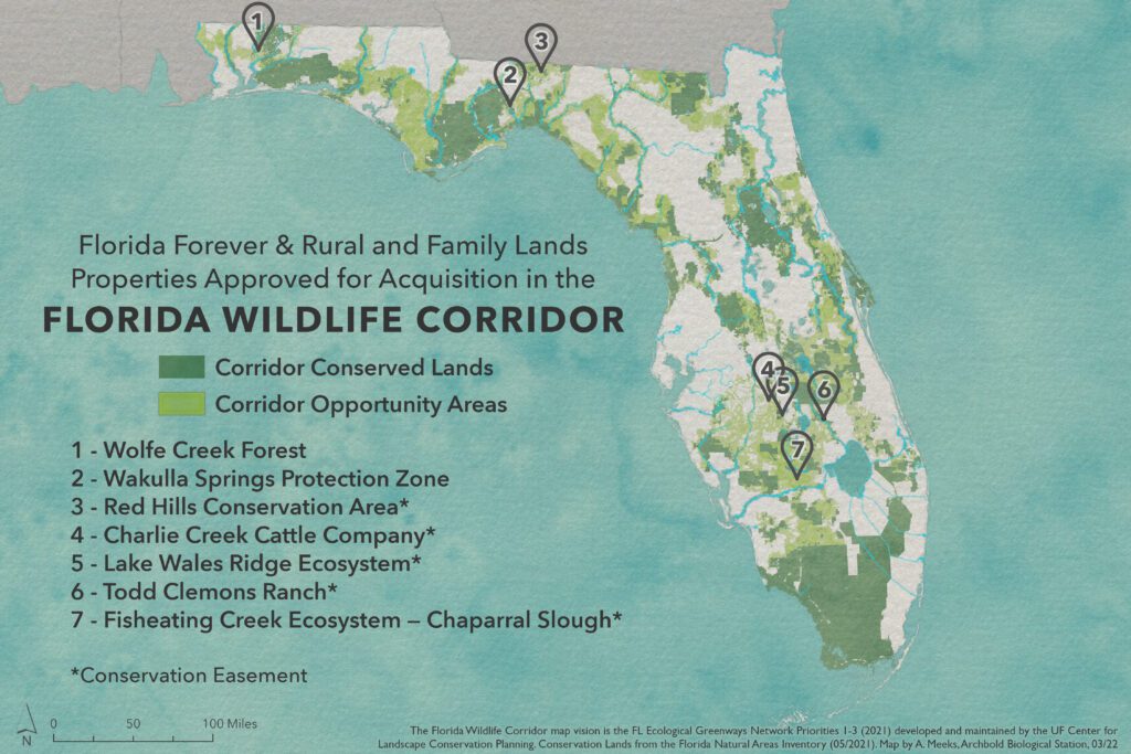 Photo by Carlton Ward Jr / CarltonWard.com