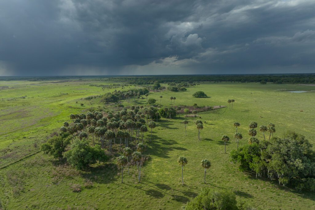 Photo by Carlton Ward Jr / CarltonWard.com