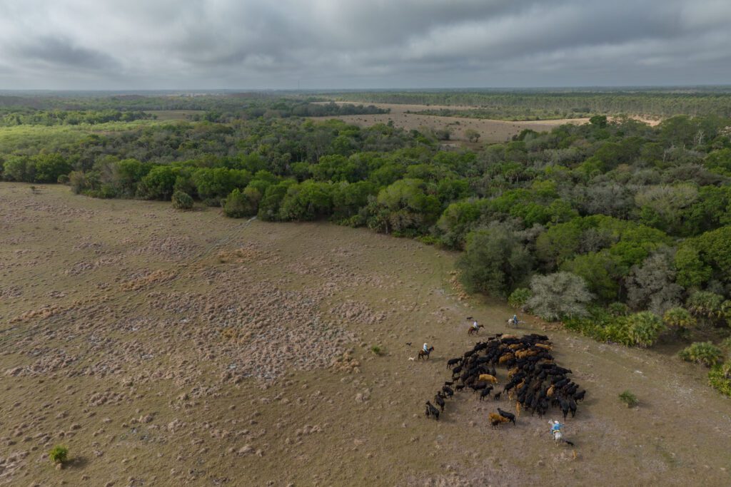 Photo by Carlton Ward Jr / CarltonWard.com