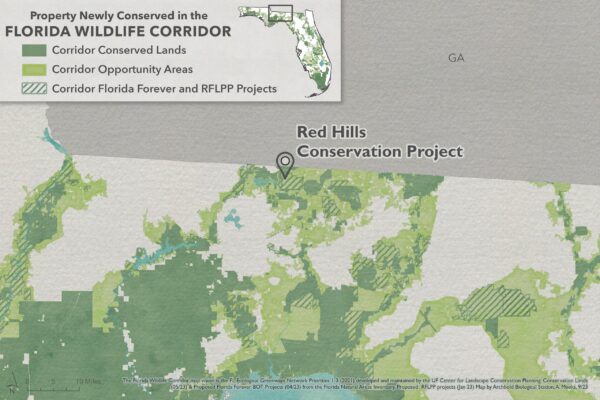 42 - Red Hills Conservation