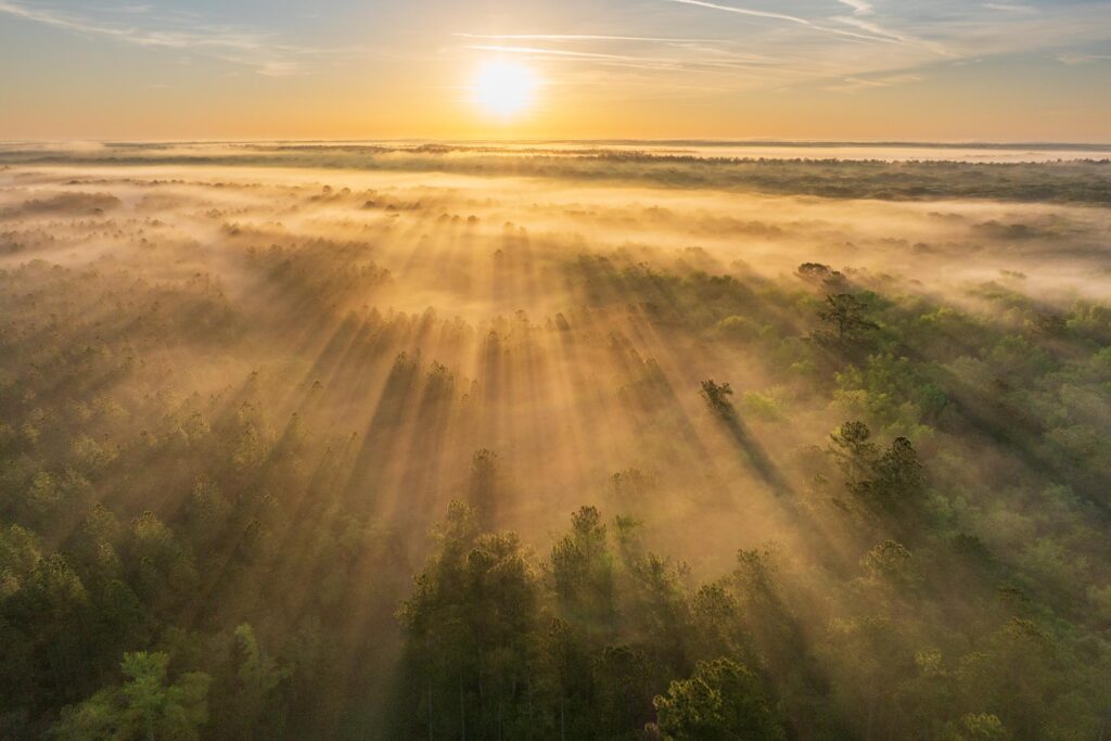 Rainey Pasture - property conservation easement by FDACS, presented to the Governor and cabinet on March 26, 2024 to protect 5,269 acres. FDACS and Keith Fountain Law. 

Photo by Lauren Yoho / Wildpath. Learn more at Wildpath.com/progress. When using in media or social media, please credit "Photo by Lauren Yoho / Wildpath" and provide tags to @leyoho and @wildpath.