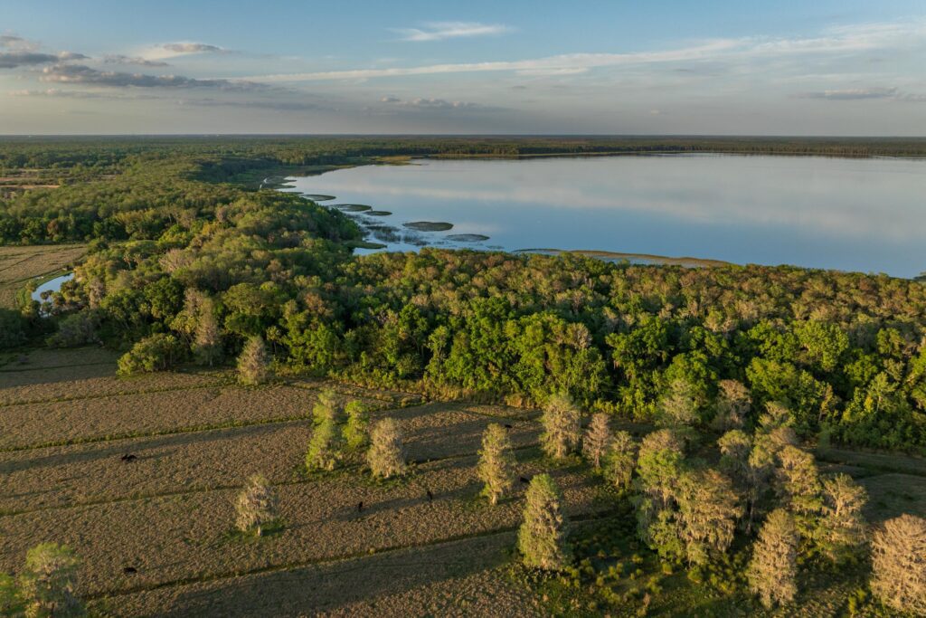 Lake Hatchineha Watershed property fee aquisition by FLDEP, presented to the Governor and cabinet on March 26, 2024 to protect 1,342 acres. FLDEP. Photo by Drew McDougall / Wildpath. Learn more at Wildpath.com/progress. When using in media or social media, please credit "Photo by Drew McDougall / Wildpath" and provide tags to @drew_mcdougall and @wildpath.
