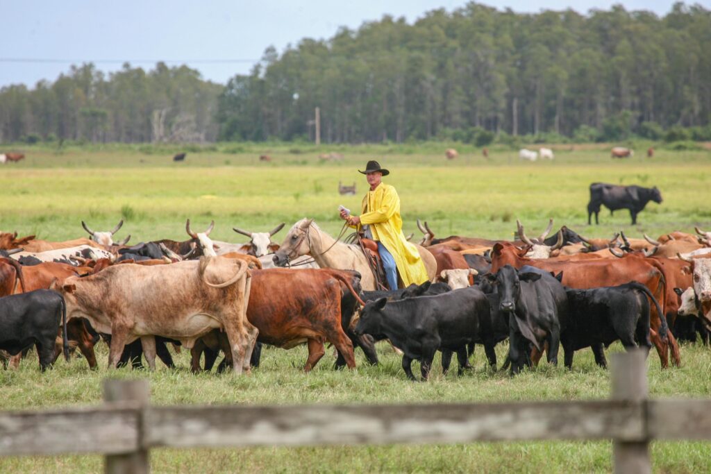 3-Heart-Bar-Ranch-Cindy-Partin