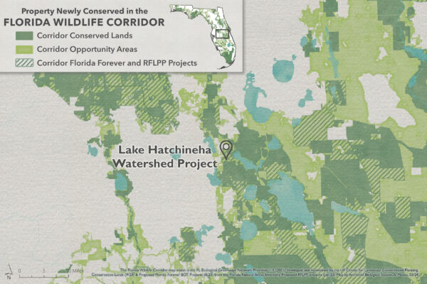 53 - Lake Hatchineha Watershed Project