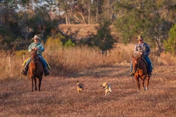 Keith Whaley Ranch