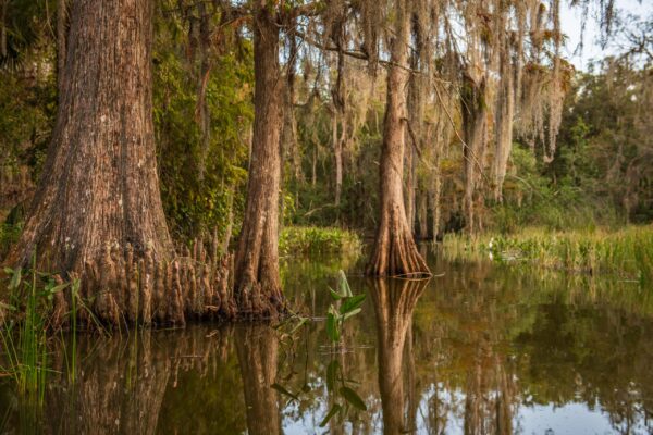 Catfish Creek