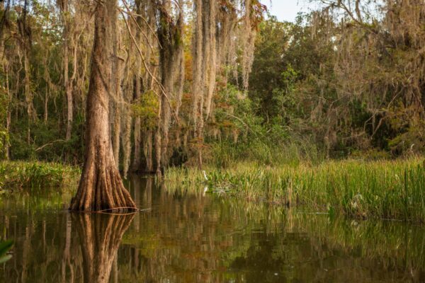 Catfish Creek