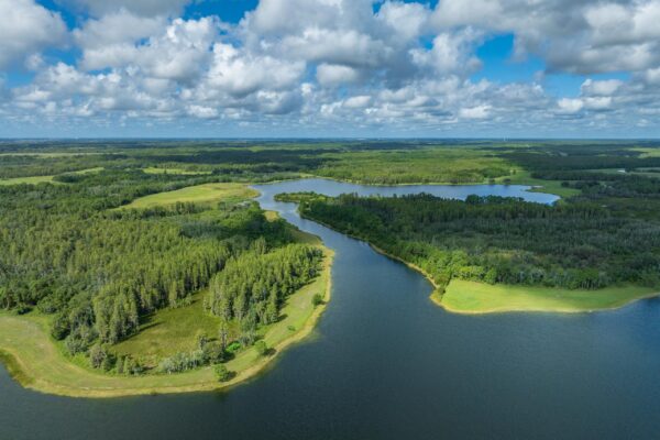 Green Swamp