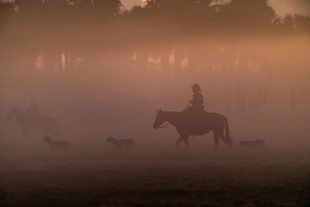 Bull Hammock / Bull Hammock conservation easement by FDACS, presented to the Governor and Cabinet on Dec. 17, 2024 to protect 5,874 acres. 

Photo by Jen Guyton / Wildpath. Learn more at wildpath.com/progress. When using in media to social media, please credit “Photo by Jen Guyton / Wildpath” and provide tags to @jenguyton / @wildpath.