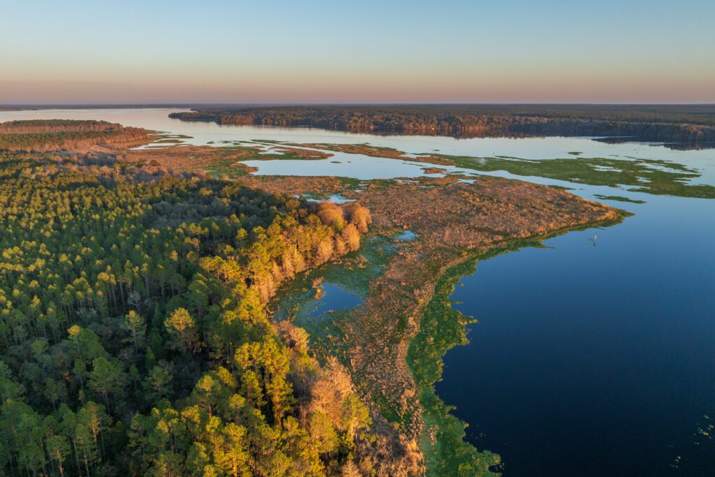 Etoniah/Cross Florida Greenway – Suttlemyre Limited Partnership / Etoniah/Cross Florida Greenway – Suttlemyre Limited Partnership fee by FDEP, presented to the Governor and Cabinet on Mar. 5, 2025. 

Photo by Lauren Yoho / Wildpath. Learn more at wildpath.com/progress. When using in media to social media, please credit “Photo by Lauren Yoho / Wildpath” and provide tags to @leyoho / @wildpath.