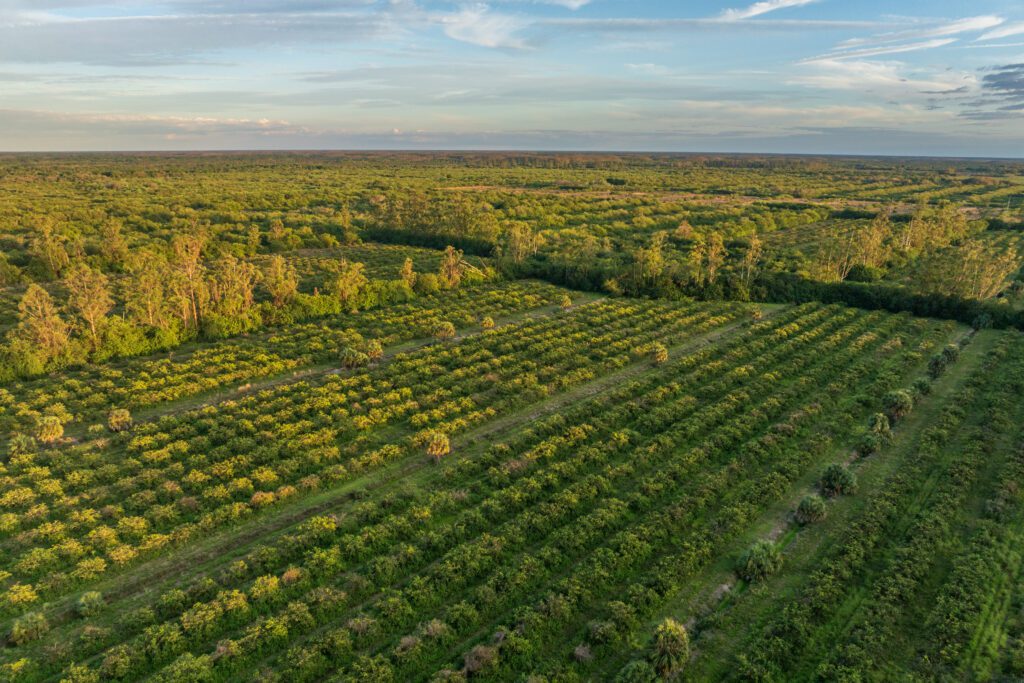 Caloosahatchee/Big Cypress – I.M.G. Enterprises / Caloosahatchee/Big Cypress – I.M.G. Enterprises fee by FDEP, presented to the Governor and Cabinet on Mar. 5, 2025. Photo by Lauren Yoho / Wildpath. Learn more at wildpath.com/progress. When using in media to social media, please credit “Photo by Lauren Yoho / Wildpath” and provide tags to @leyoho / @wildpath.