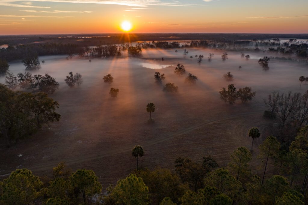 Williams Heritage Property / Williams Heritage Property conservation easement by FDACS, presented to the Governor and Cabinet on Mar. 5, 2025. Photo by Jen Guyton / Wildpath. Learn more at wildpath.com/progress. When using in media to social media, please credit “Photo by Jen Guyton / Wildpath” and provide tags to @jenguyton / @wildpath.