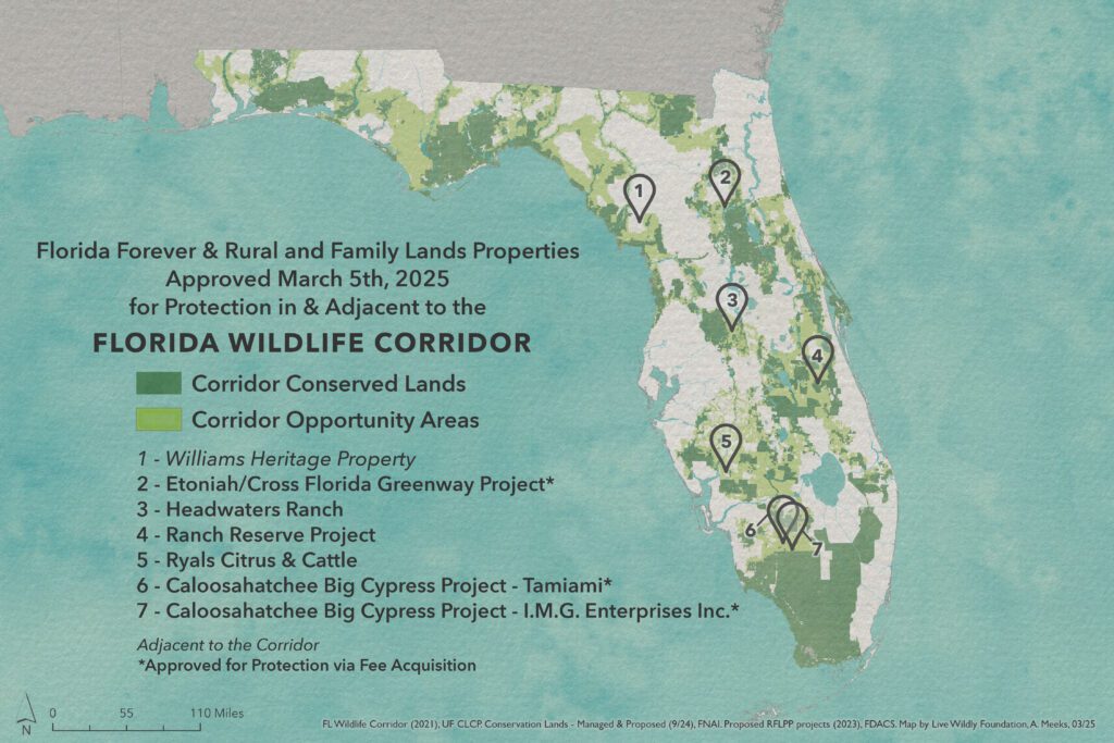 8-Overview-Angeline Meeks