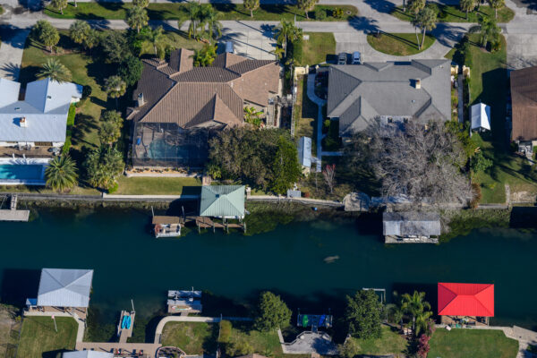 A manatee and her calf swim through a network of canals in Florida's Crystal River. Development has encroached on manatee habitat and flooded waterways with excess nutrients from sewage and lawn fertilizer. After nutrient pollution caused Crystal River's aquatic ecosystem to collapse, the town banded together to fix their water.