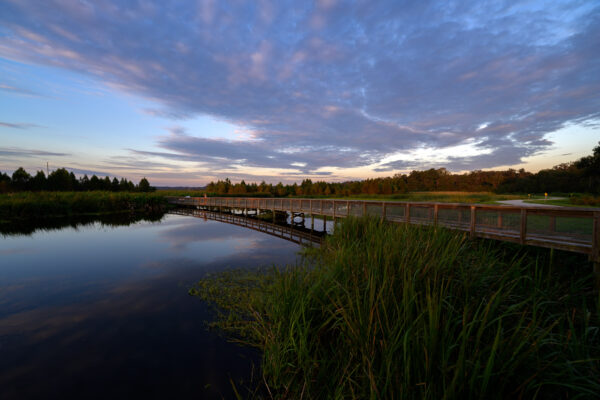 Photo by Jason Gulley/Wildpath. The 264 acre Sweetwater Wetlands Park in Gainesville, Fla. is popular for walking, running, birding and wildlife viewing but this popular park was built to address pollution from stormwater runoff. Prior to the park's completion in 2014, stormwater, and the oil, fertilzer and other pollutants it carried with it, from Gainesville flowed into a sinkhole that recharges the Floridan aquifer. The wetlands now naturally treat and filters runoff before it recharges the aquifer.