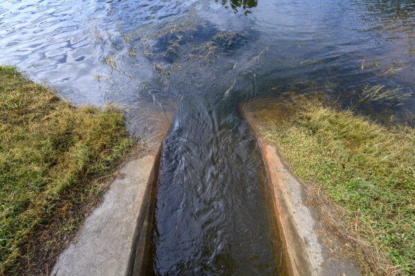 Photo by Jason Gulley/Wildpath. Stormwater flows from a retention pond into a culvert in Tampa, Fla. during Hurricane Helene.