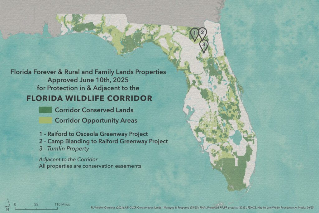 4-State Overview - June 2025 Properties - Angeline Meeks