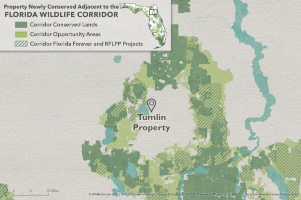 86 - Tumlin Property - June 25