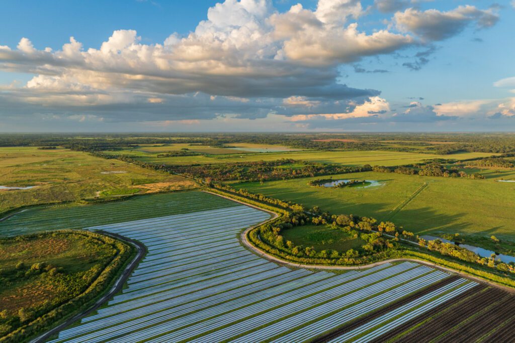 3-Caloosahatchee-Big-Cypress-Project–-Hoot-Holdings-LLC-Lauren-Yoho-scaled