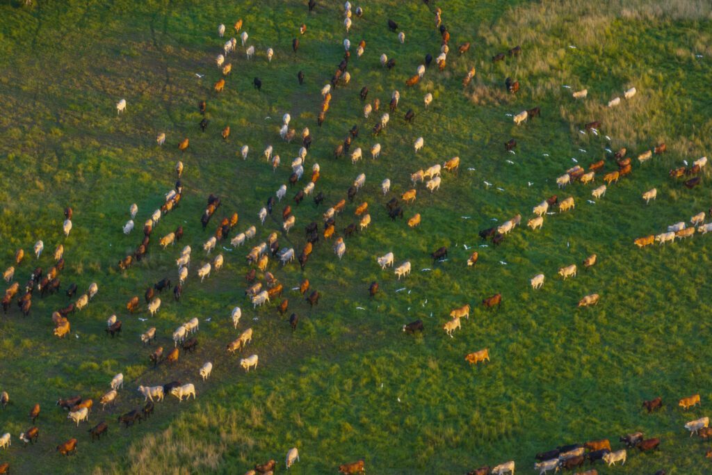 5-Caloosahatchee-Big-Cypress-–-Finca-Vigia-LLC-Lauren-Yoho-scaled