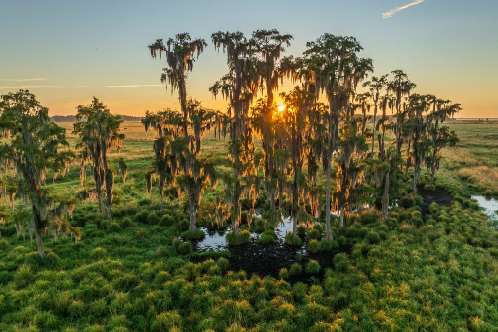 7-Bentley-Ranch-Lauren-Yoho-scaled