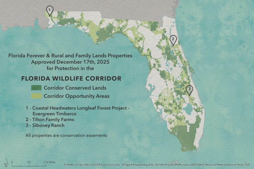 4-Overview-Angeline Meeks