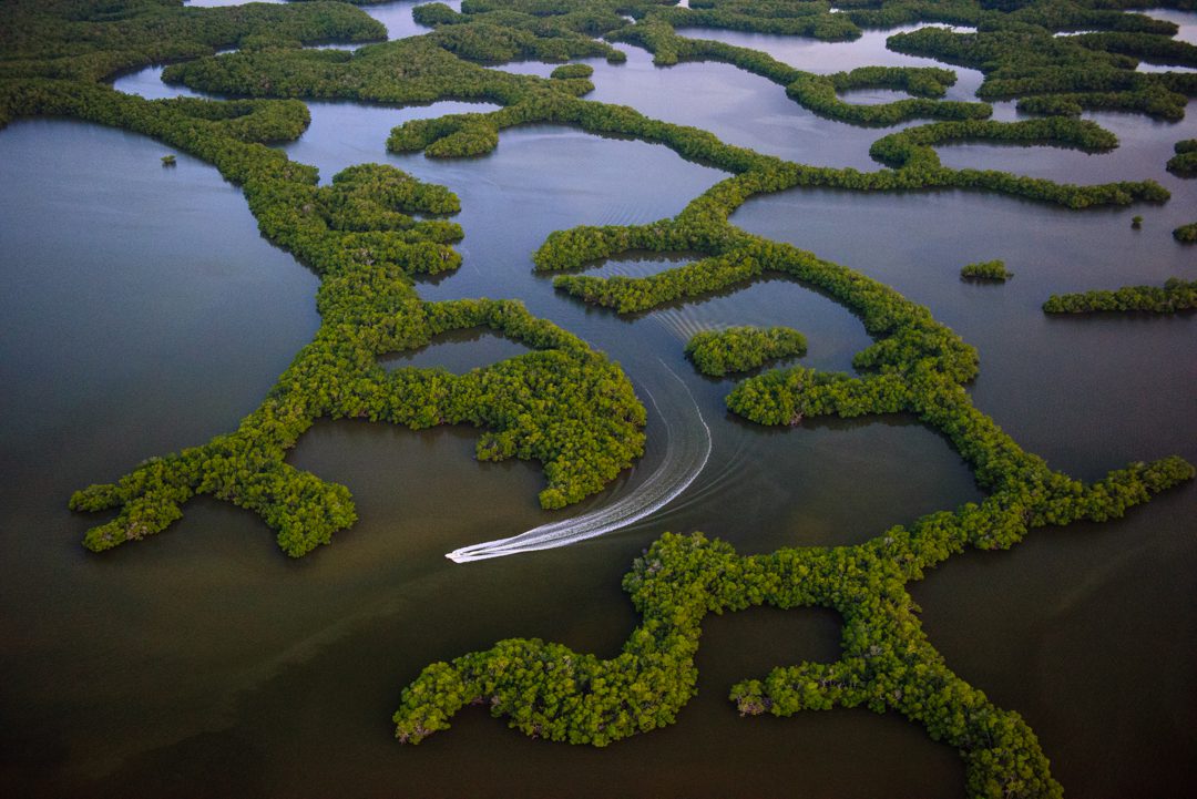 Everglades National Park, Ten Thousand Islands  Everglades National Park is the largest subtropical wilderness in the United States and protects the largest wilderness and largest contiguous mangrove forest in the western hemisphere. The park has been declared an International Biosphere Reserve, a World Heritage Site and a Wetland of International Importance, one of only three locations in the world to appear on all three lists. The boundaries of the park protects about 20% of the original land area of the Everglades.