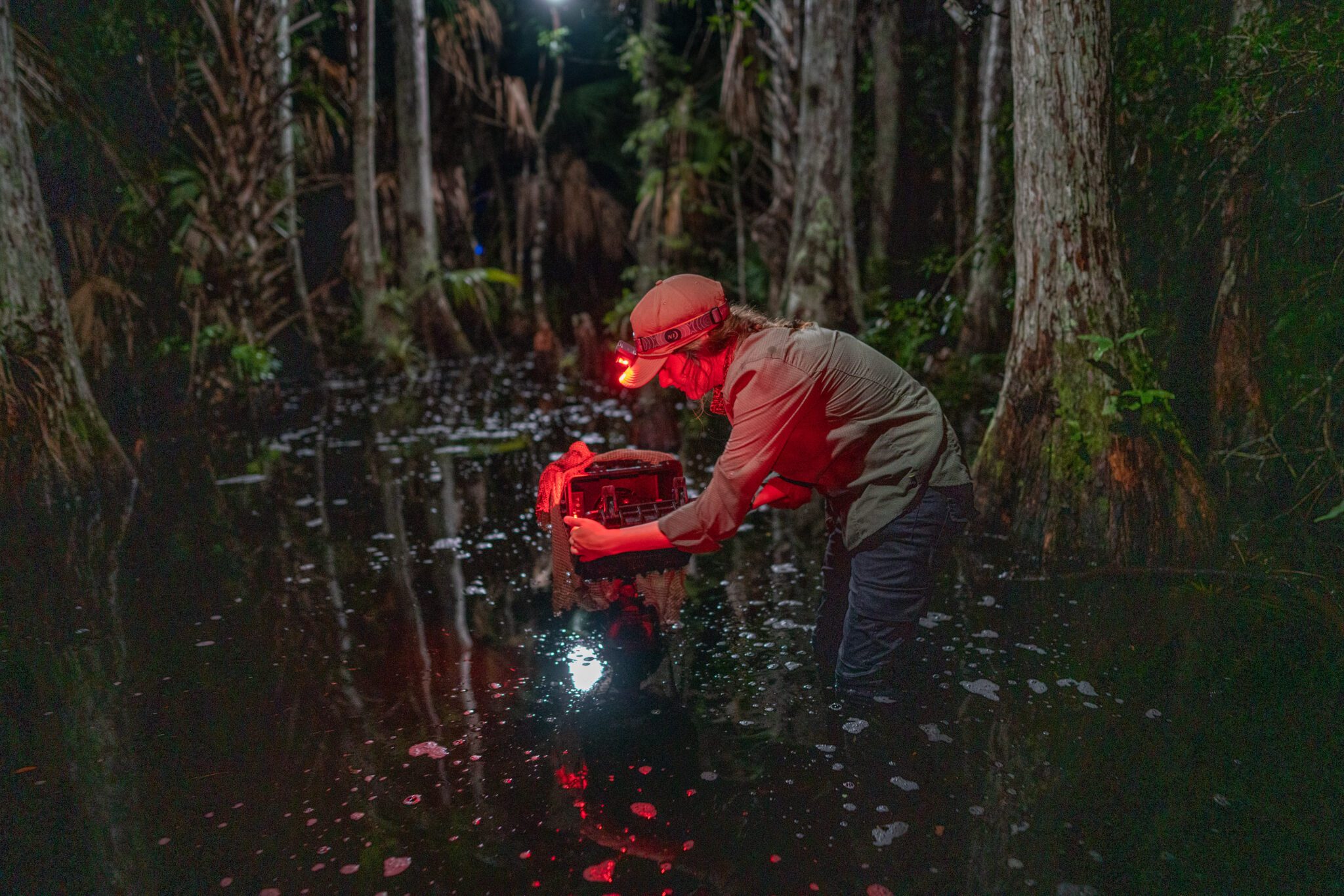 Photo by Carlton Ward Jr / CarltonWard.com