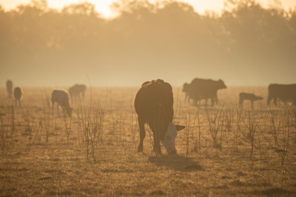 1-Overview-Lauren-YohoBuckhorn-Ranch