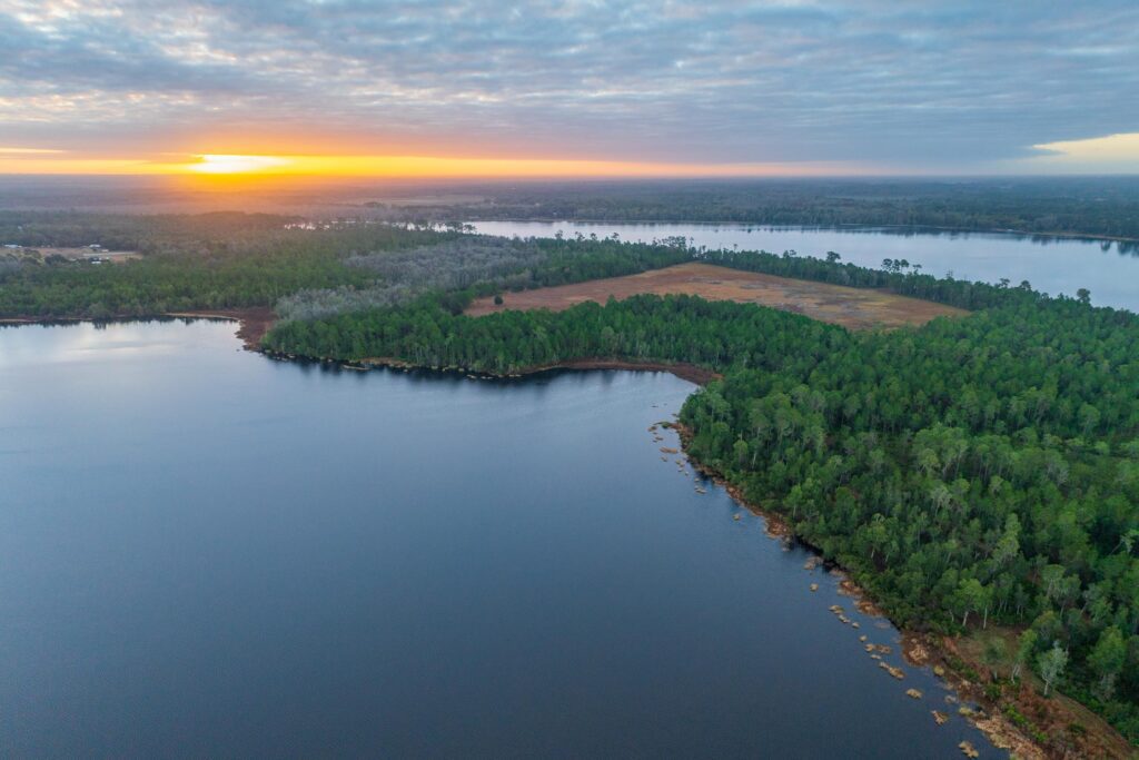 1-Overview-Lauren-YohoLongleaf-Pine-Ecosystem-–-Vanacore-Holdings