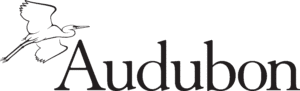 Audubon