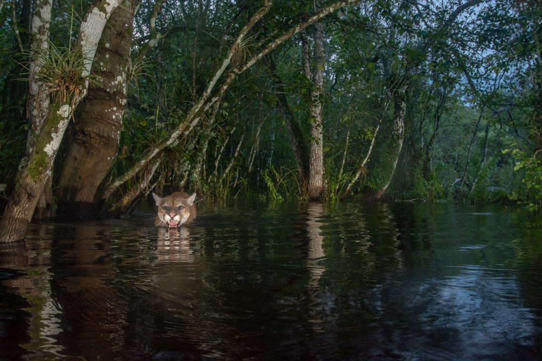 CTF025-19-08-20-00050