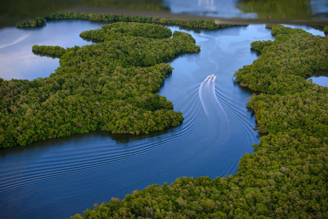 Everglades National Park, Ten Thousand Islands  Everglades National Park is the largest subtropical wilderness in the United States and protects the largest wilderness and largest contiguous mangrove forest in the western hemisphere. The park has been declared an International Biosphere Reserve, a World Heritage Site and a Wetland of International Importance, one of only three locations in the world to appear on all three lists. The boundaries of the park protects about 20% of the original land area of the Everglades.
