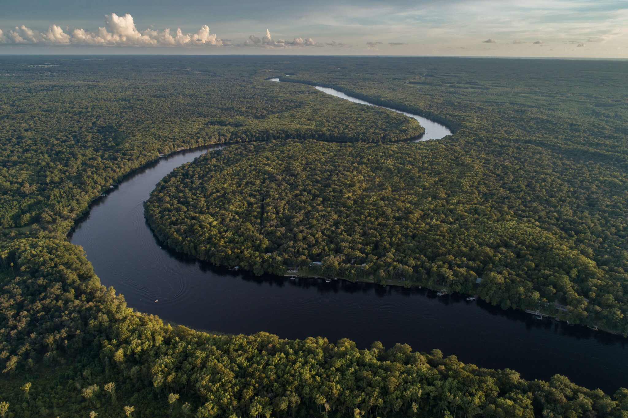 Photo by Carlton Ward Jr / CarltonWard.com