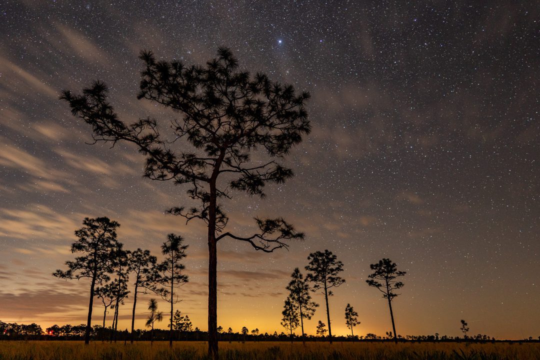 Photo by Carlton Ward Jr / CarltonWard.com