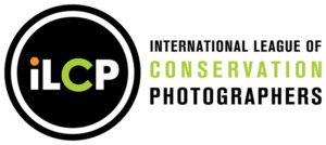 iLCP