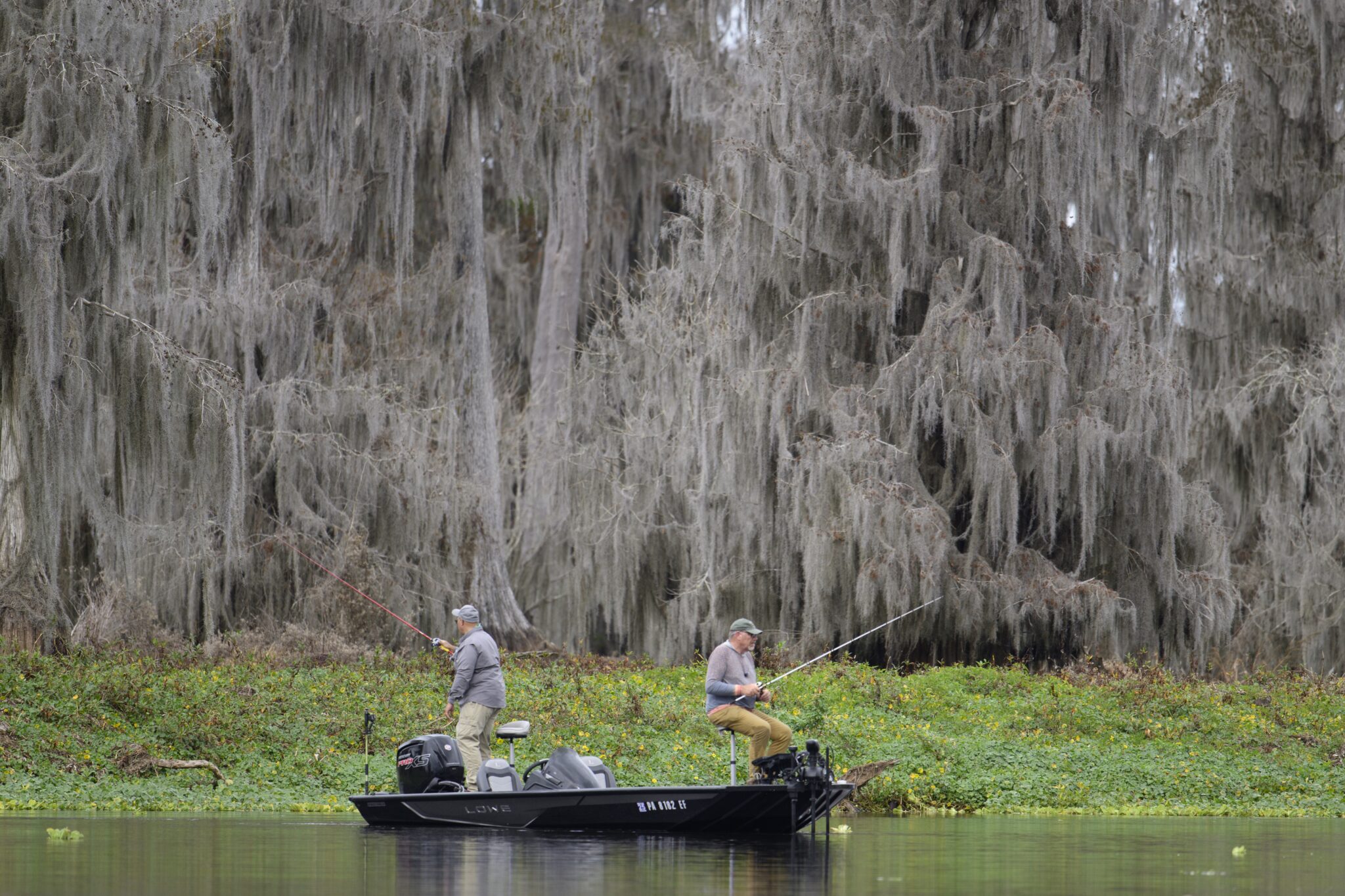 Fishermen fish the main channel of Florida's Oklawaha River during a drawdown of the Rodman Reservoir. Water levels on the Rodman Reservoir are lowered approximately every three years for reservoir maintance, revealing the original flowpaths of the Oklawaha River. Fishing during drawdowns is popular because fish from the reservoir become concentrated in smaller areas.