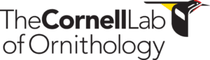 Cornell Lab
