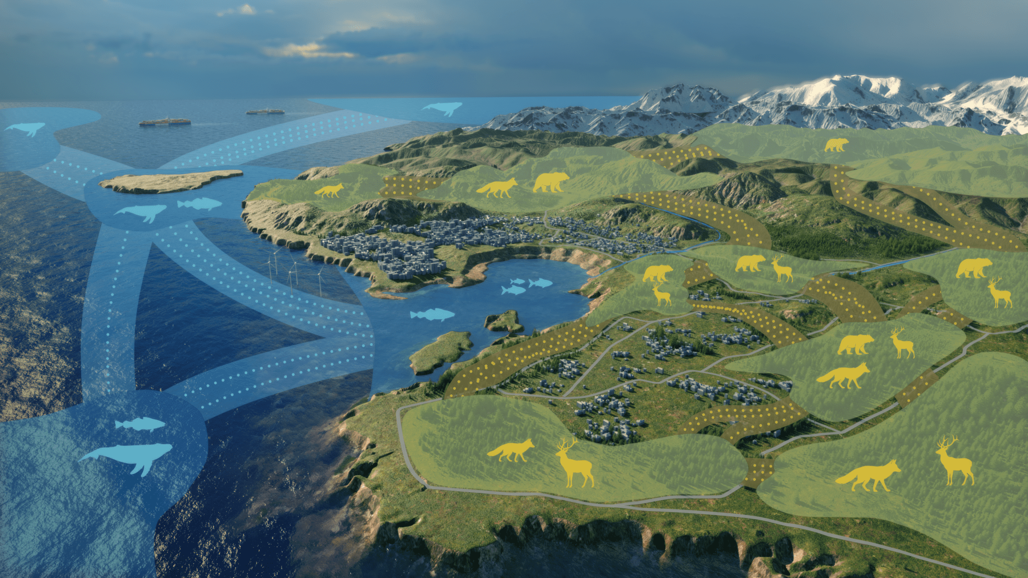 OUTPUT D.v005.0000_4k